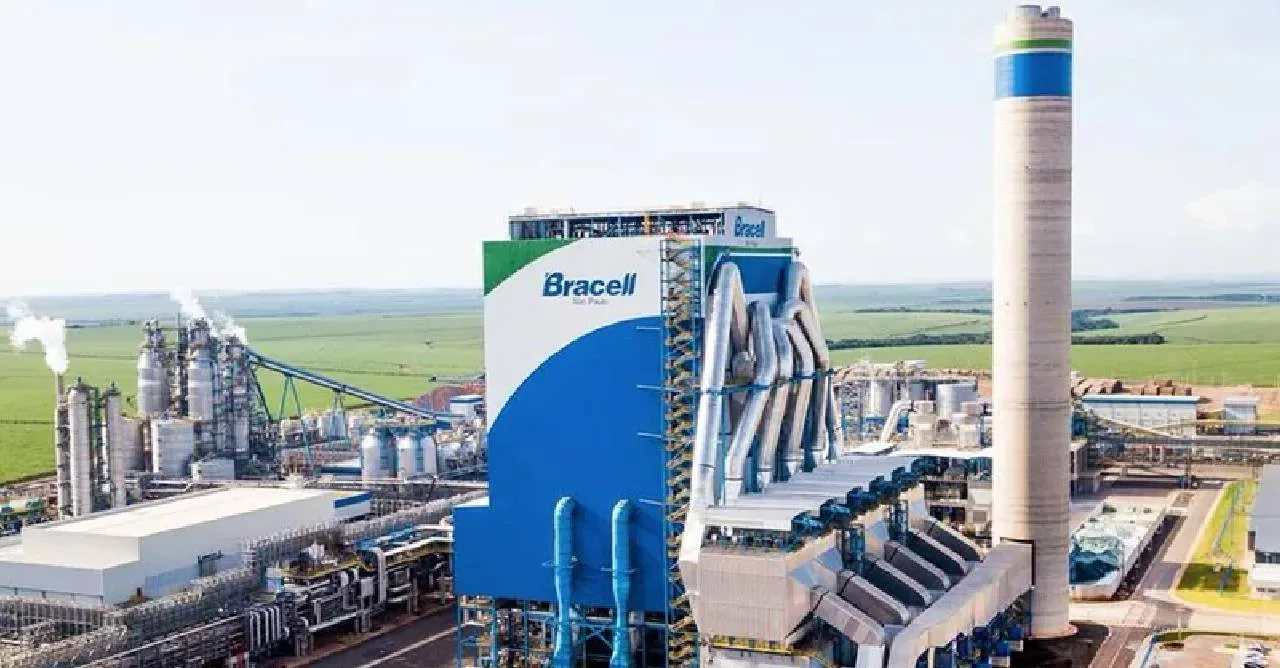 Bracell vai construir terminal em Macatuba para recebimento de madeira pela hidrovia