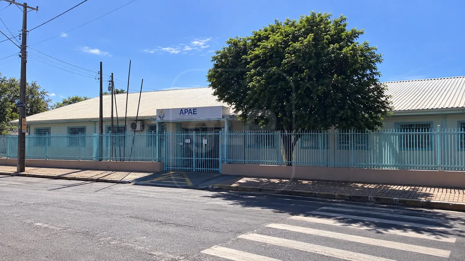 Bazar da APAE com calçados e bolsas acontece esta semana