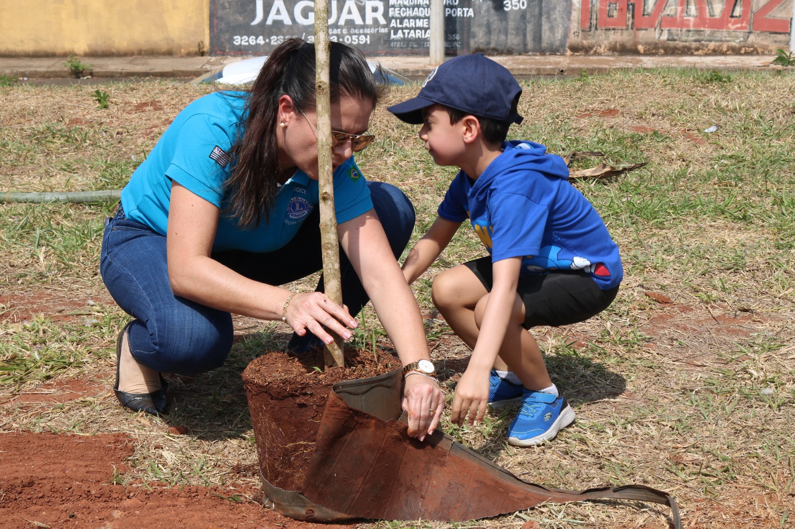 Lençóis ganha iniciativa de plantio de árvores em calçadas por toda a cidade