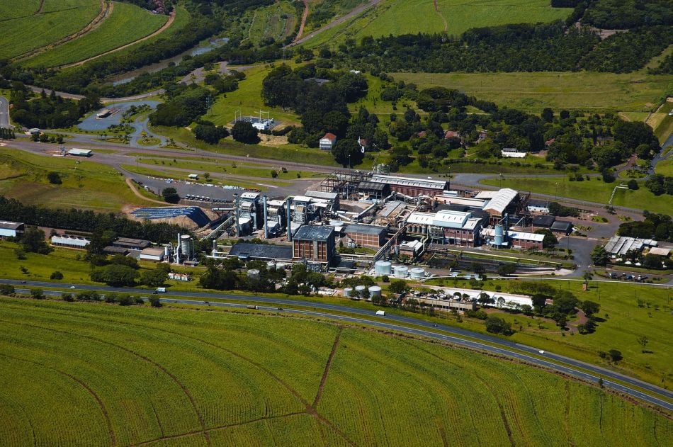 A Zilor Energia e Alimentos vive um novo ciclo de crescimento e comemora resultados